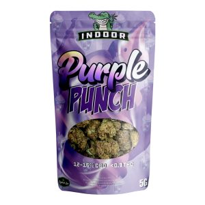 Purple Punch - CBD Premium - Indoor